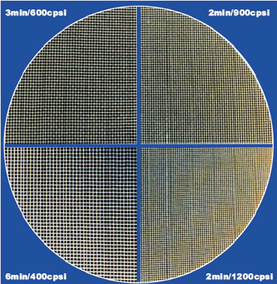 High_cell_density_substrate.jpg